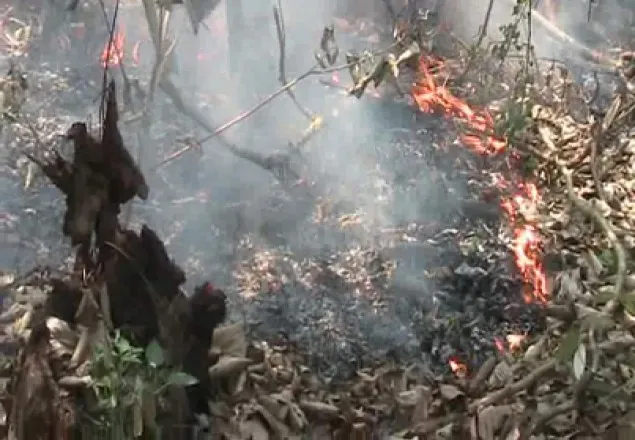সুন্দরবনে আগুনের ঘটনায় মামলা নিয়ে লুকোচুরি