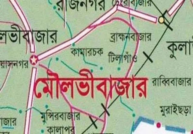 কুলাউড়ায় মেয়ের ইজ্জত রক্ষার্থে মায়ের জীবন দান