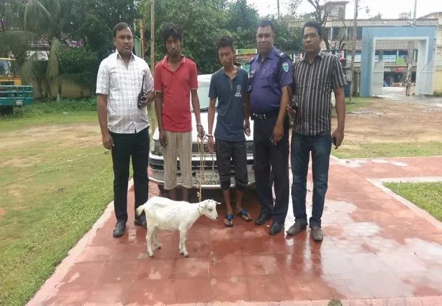 মৌলভীবাজরে প্রাইভেটকার সহ ছাগল চোর গ্রেফতার