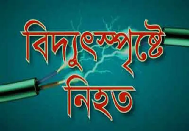 বিদ্যুৎস্পৃষ্টে কলেজ ছাত্রের মৃত্যু