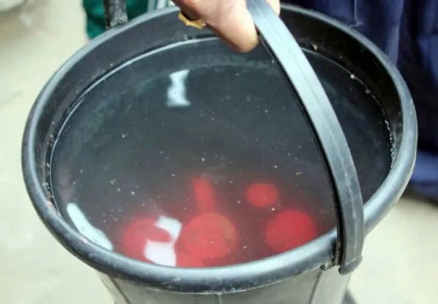মেহেরপুরে ৮ ককটেল উদ্ধার