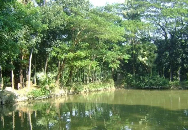নারায়ণগঞ্জে পুকুরে পড়ে শিশুর মৃত্যু