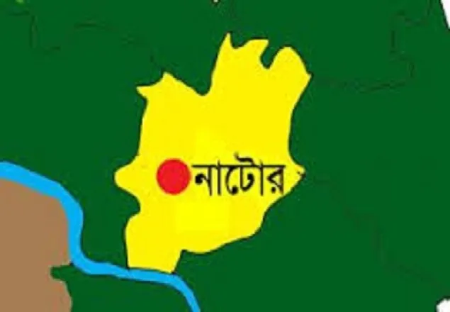 নাটোরে ইউপি মেম্বার প্রার্থীকে পিটিয়ে হত্যার চেষ্টা