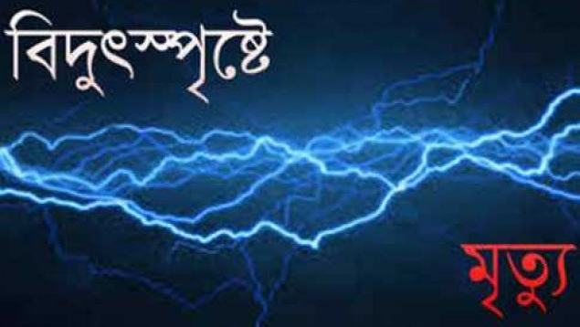 বিদ্যুৎস্পৃষ্টে পিরোজপুর আইনজীবী সমিতির সভাপতির মৃত্যু