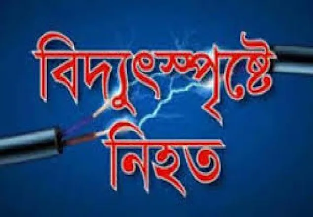 চান্দিনায় বিদ্যুৎ স্পৃষ্টে কলেজ শিক্ষকের মৃত্যু