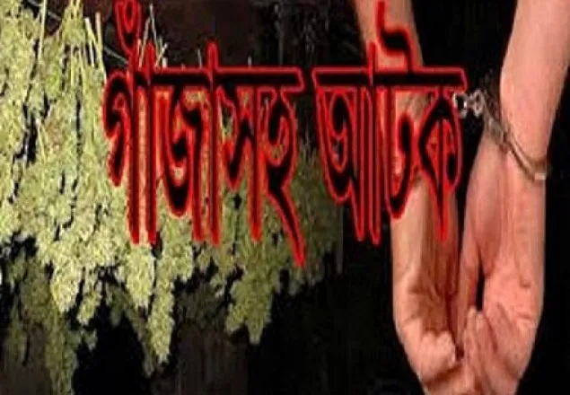 নীলফামারীতে গাঁজাসহ ব্যবসায়ী আটক