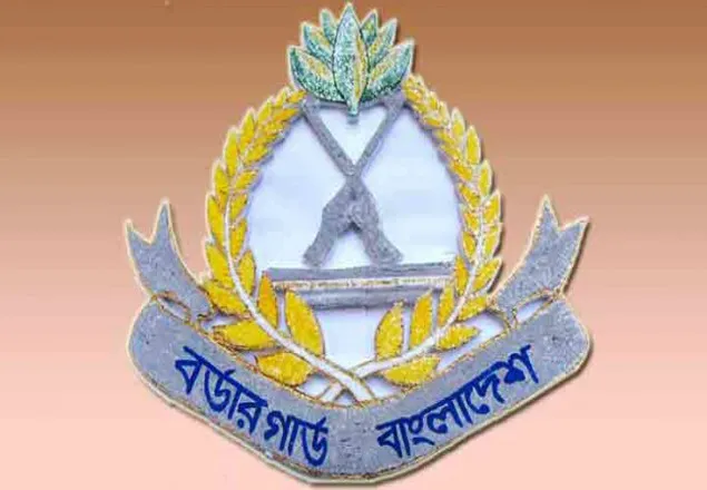 মিয়ানমারের ২৬ জনকে ফেরত পাঠাল বিজিবি