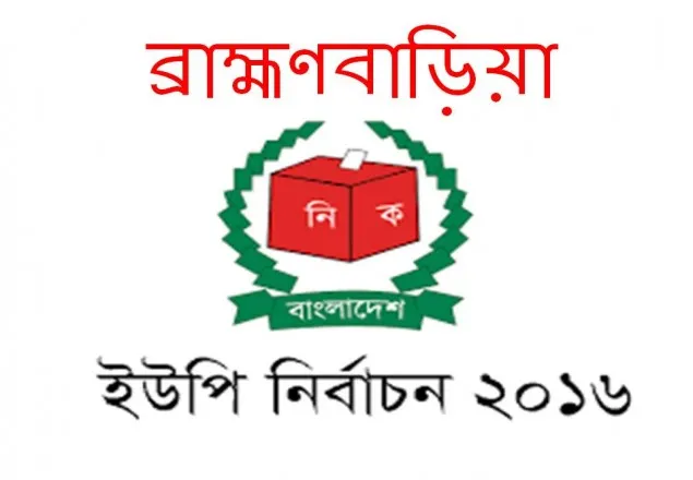 নৌকায় জালভোটের ছবি তোলায় সাংবাদিককে মারধর