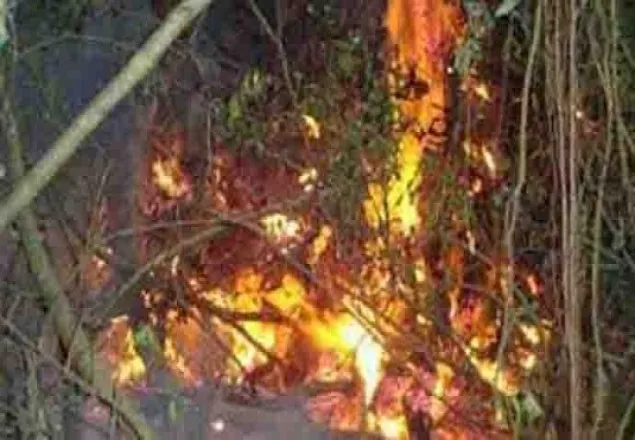 সুন্দরবনে অগ্নিকাণ্ড, বন কর্মকর্তাসহ বরখাস্ত ৩