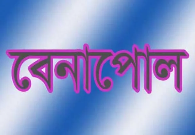 বেনাপোল সীমান্তে মেছো বাঘ আটক  