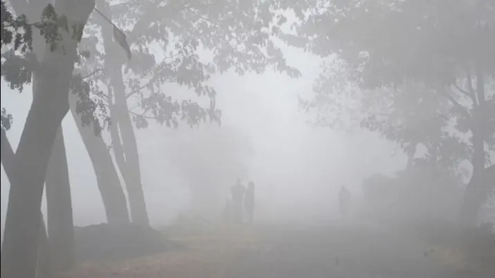 সর্বনিম্ন তাপমাত্রায় কাঁপছে নওগাঁ