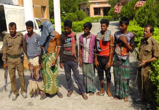 ৬ হরিণ শিকারিকে ভ্রাম্যমানে কারাদণ্ড
