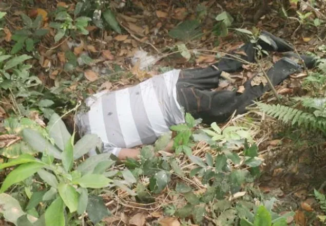 মেহেরপুরে পরকীয়ার জেরে প্রবাসী খুন