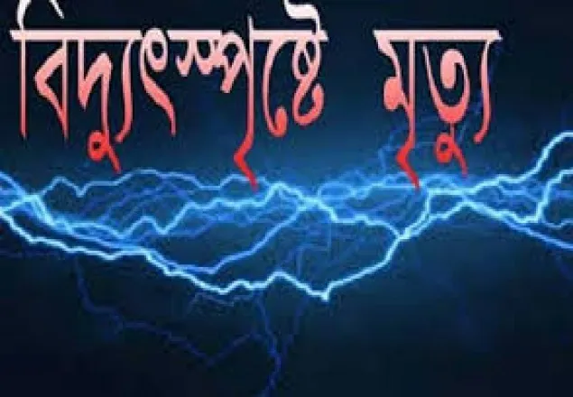 সুনামগঞ্জে বিদ্যুৎস্পৃষ্টে একই পরিবারের ৪ জনের মৃত্যু 