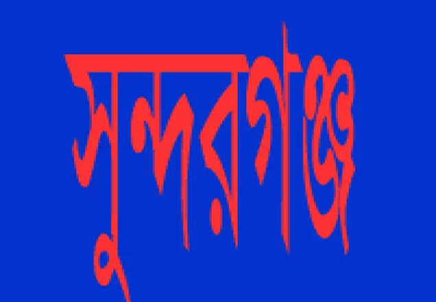 সুন্দরগঞ্জে আইন শৃঙ্খলা কমিটির সভা