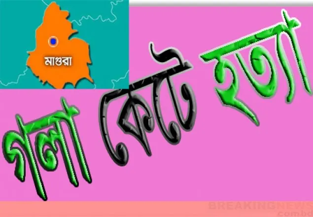 শালিখায় মাকে গলা কেটে হত্যা, ছেলে আটক