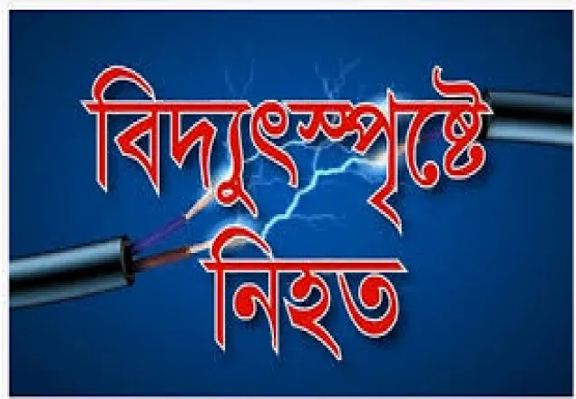 কুমিল্লায় বিদ্যুৎস্পৃষ্ট বৃদ্ধের মৃত্যু 