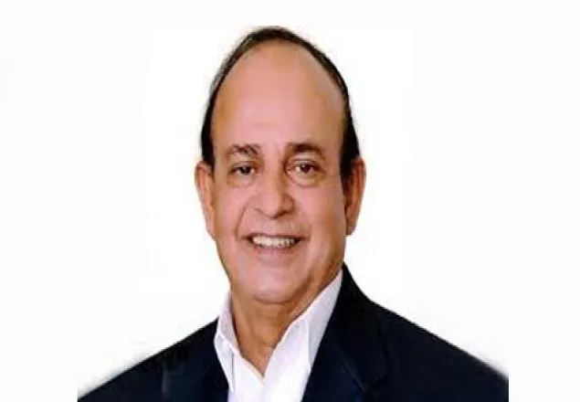 'সুন্দরবনে আগুন লাগার পেছনে মধু আহরণকারীরা দায়ী'
