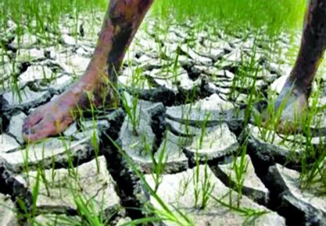 তীব্র তাপদাহে চার মহাদেশ, বাংলাদেশেও এল নিনোর প্রভাব 