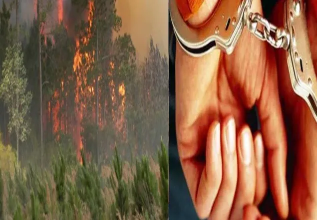 সুন্দরবনে আগুন দেওয়ার অভিযোগে আটক ১