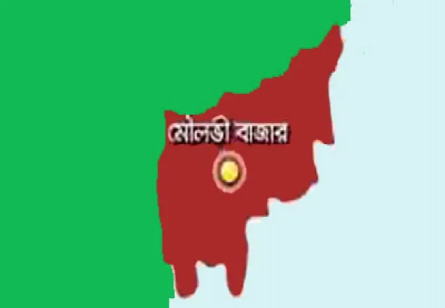 মৌলভীবাজারে গৃহবধূকে পিটিয়ে হত্যা