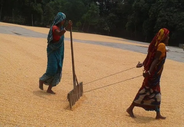 বেড়েছে নারী শ্রমিকের চাহিদা, বাড়েনি মজুরি