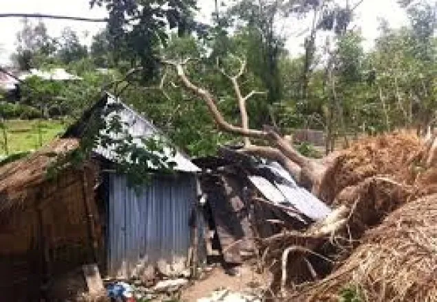 চুয়াডাঙ্গায় কালবৈশাখীতে নিহত ১