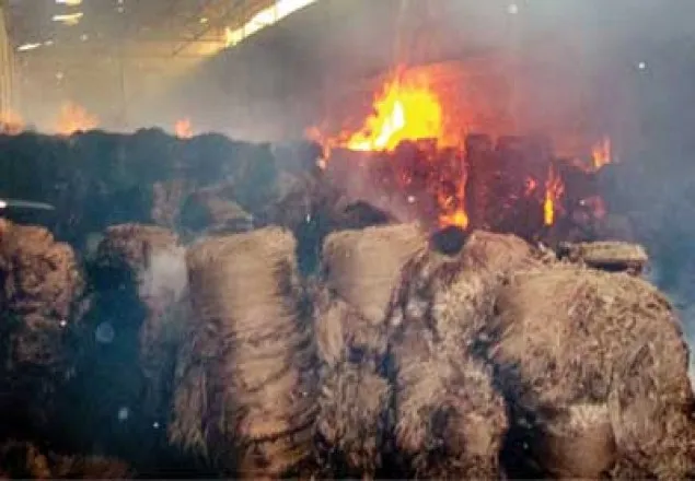 খুলনায় জুট মিলে আগুন