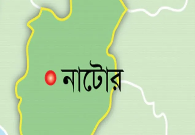 নাটোরে সড়ক দুর্ঘটনায় গরু ব্যবসায়ীর মৃত্যু