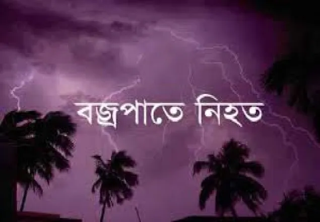 চাঁদপুরে বজ্রপাতে স্বামী-স্ত্রী নিহত