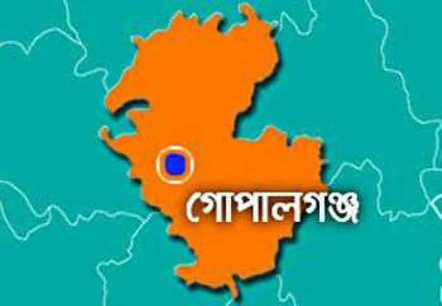 গোপালগঞ্জে বিদ্যুৎস্পৃষ্ট হয়ে ২ জনের মৃত