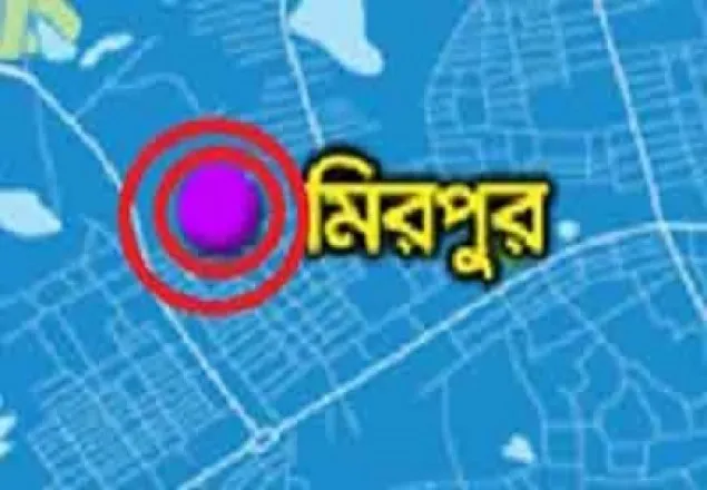 রাজধানীর মিরপুরে দাম্পত্য কলহের জেরে স্বামী-স্ত্রী দগ্ধ