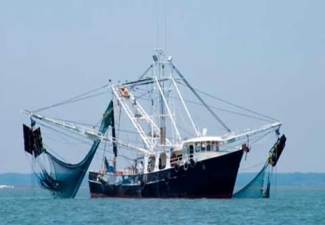 সাগরে ৬৫ দিন বাণিজ্যিক মৎস্য আহরণ নিষিদ্ধ