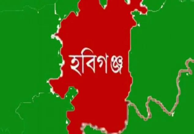 হবিগঞ্জে পিতাকে পিটিয়ে হত্যা, পুত্র আটক