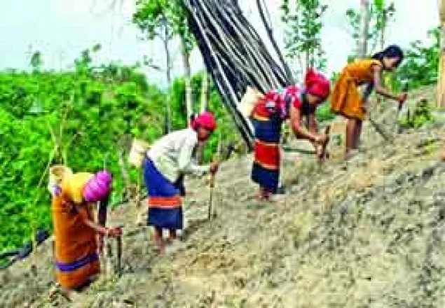 ‘কৃষিক্ষেত্রে নারী মজুরী বৈষম্য প্রকট’