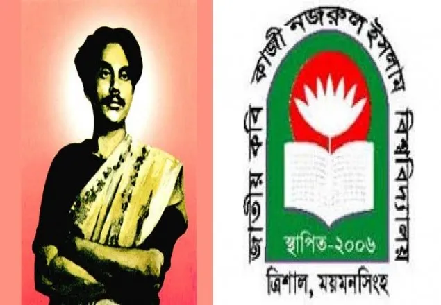 ‘নজরুল বিশ্ববিদ্যালয় সম্মাননা’ পাচ্ছেন যারা