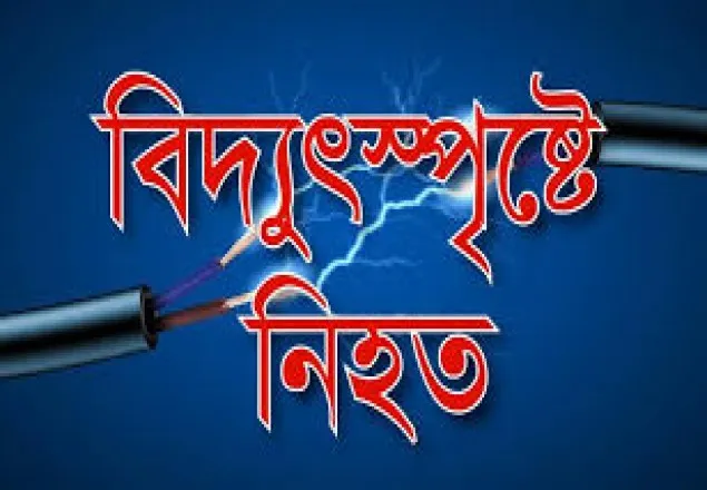 ঝিনাইদহে বিদ্যুৎস্পৃষ্টে নিহত ১