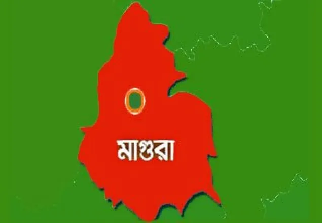 ইউপি সহিংসতায় আহত স্কুলছাত্রের মৃত্যু