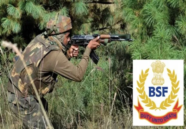 চুয়াডাঙ্গায় বাংলাদেশি কিশোরকে হত্যা, ৭ বিএসএফ সদস্য বরখাস্ত