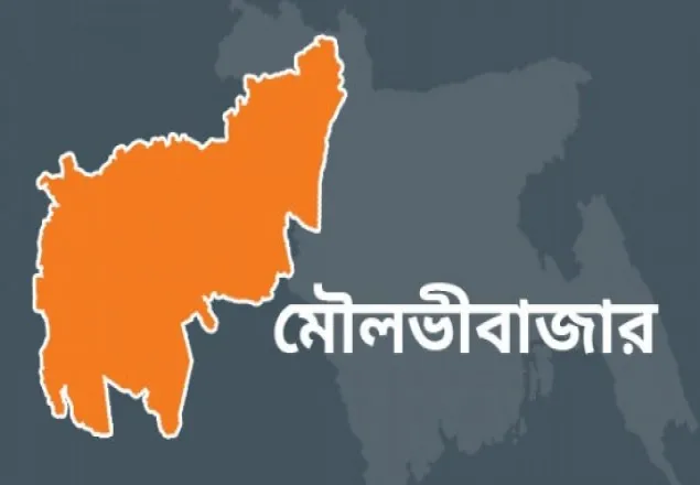 কুলাউড়ায় ৭ স্কুলের প্রধান শিক্ষকের মামলা