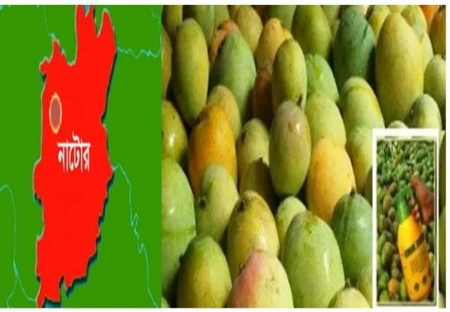 আমে কার্বাইড মেশানোর দায়ে লাখ টাকা জরিমানা