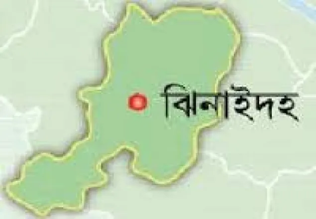 ঝিনাইদহে ঝড়ে গাছের ডাল চাপায় নিহত ১