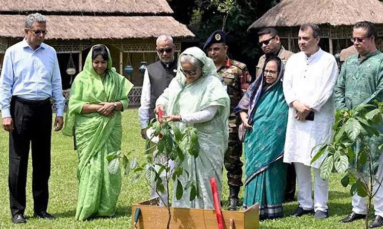 একটি করে হলেও গাছ লাগাতে বললেন প্রধানমন্ত্রী