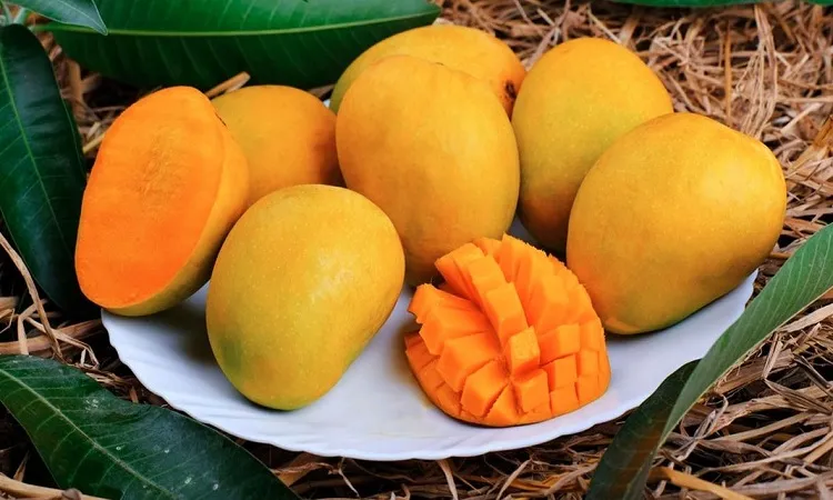 যেসব খাবারের সঙ্গে আম খেলে বিপদ