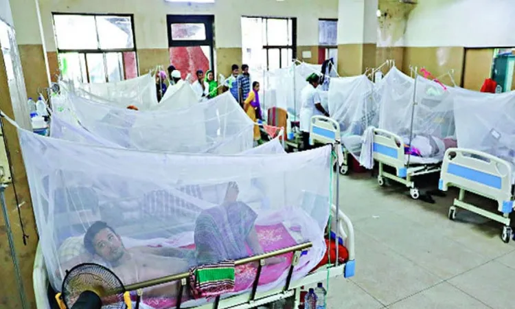 ডেঙ্গুতে আরও ৮ মৃত্যু, হাসপাতালে ২৩৫০