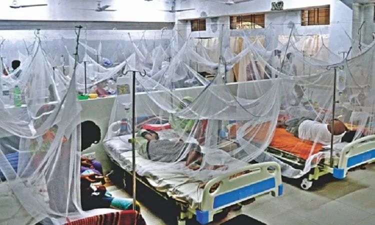 একদিনে ডেঙ্গু আক্রান্ত হয়ে হাসপাতালে ৯৬