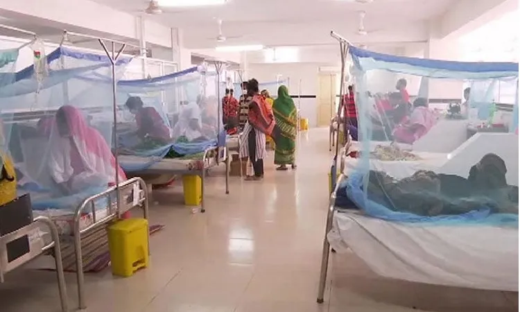 ডেঙ্গুতে আরও ১৭ জনের মৃত্যু, শনাক্ত ২৩০৮