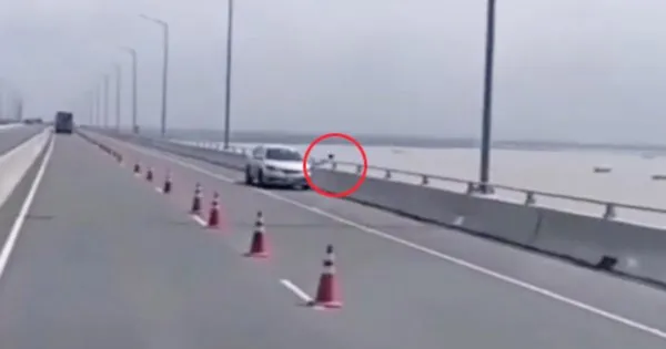 অটোরিকশা নিয়ে পদ্মা সেতুতে, গার্ডকে দেখে চালকের নদীতে ঝাঁপ