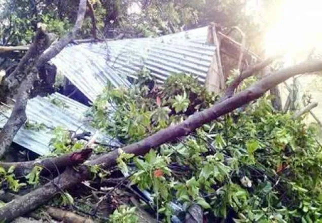 পটুয়াখালীতে ঝড়ে ঘরচাপায় এক নারী নিহত