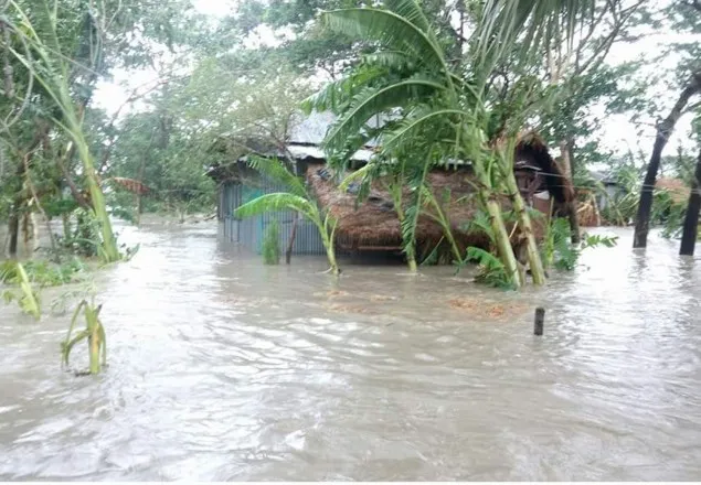 ‘রোয়ানু’র প্রভাবে নোয়াখালীতে মা মেয়েসহ নিহত ৩